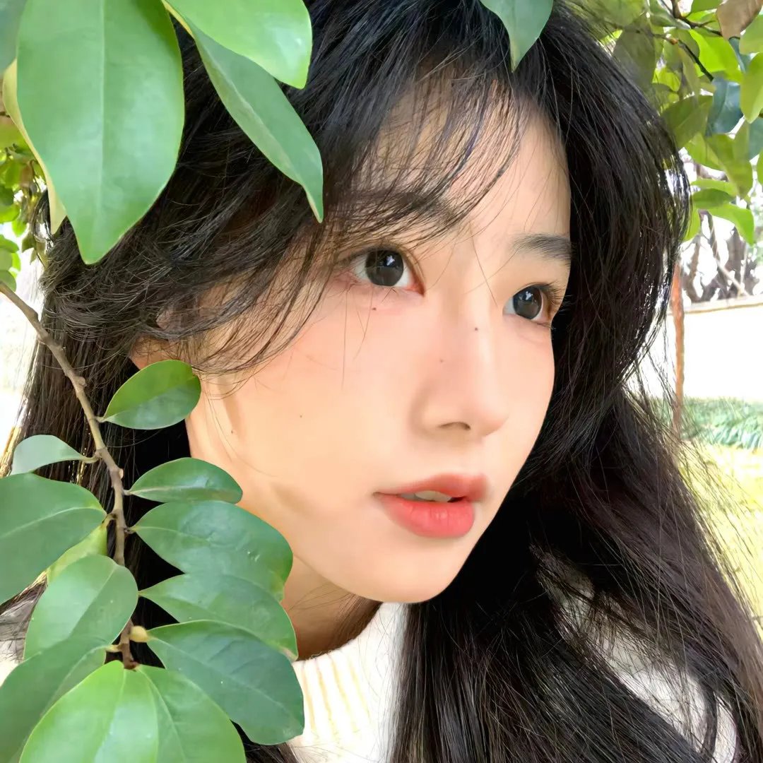 岁月神偷粤语